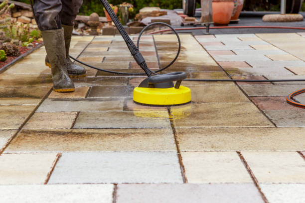 Best Roof Cleaning and Mildew Removal in Prince Frederick, MD